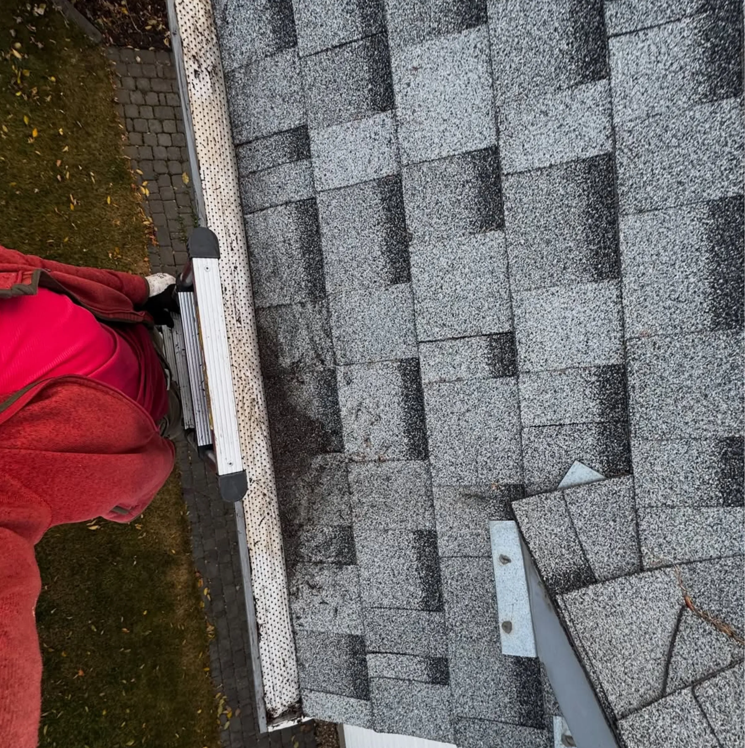 Colorbond gutter lifespan