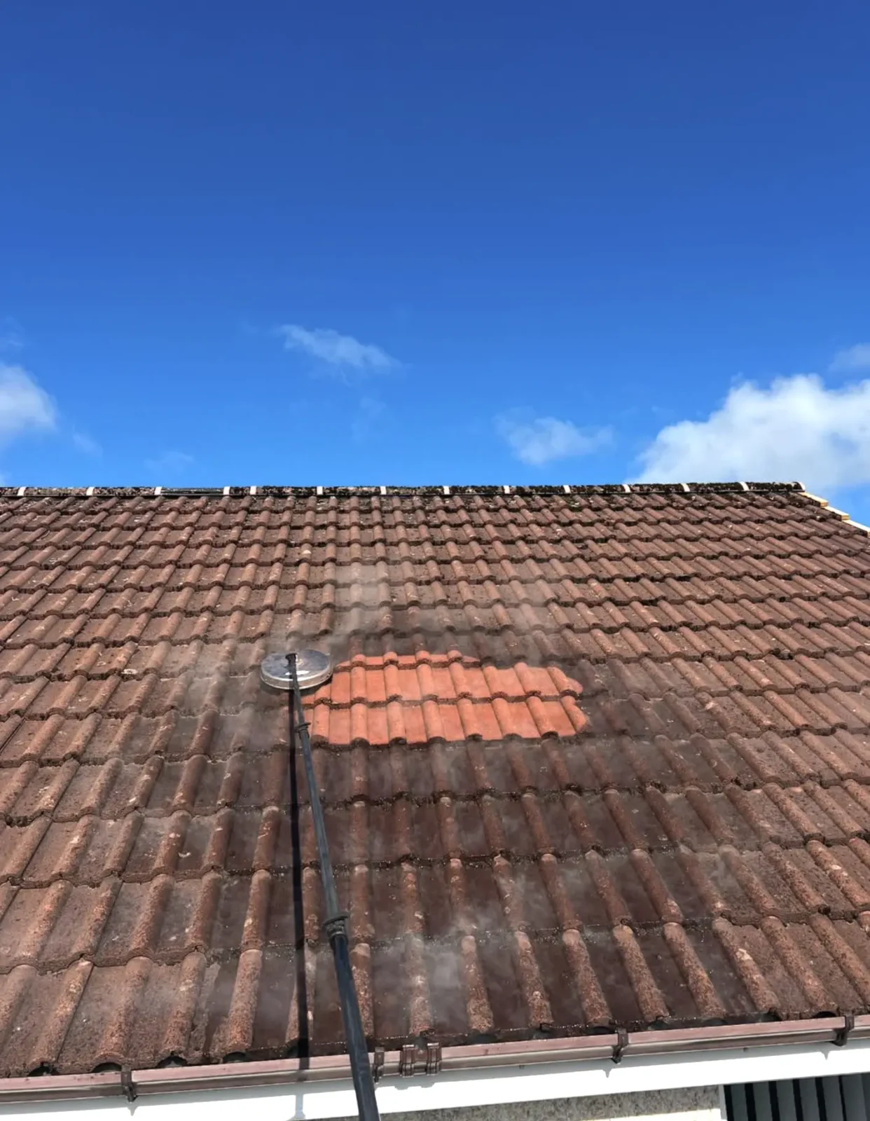 Condition of seams and flashings​