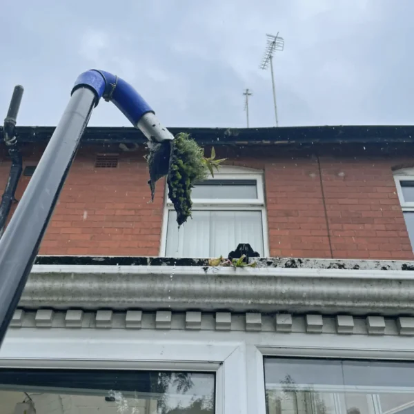 cleaning gutter downpipes