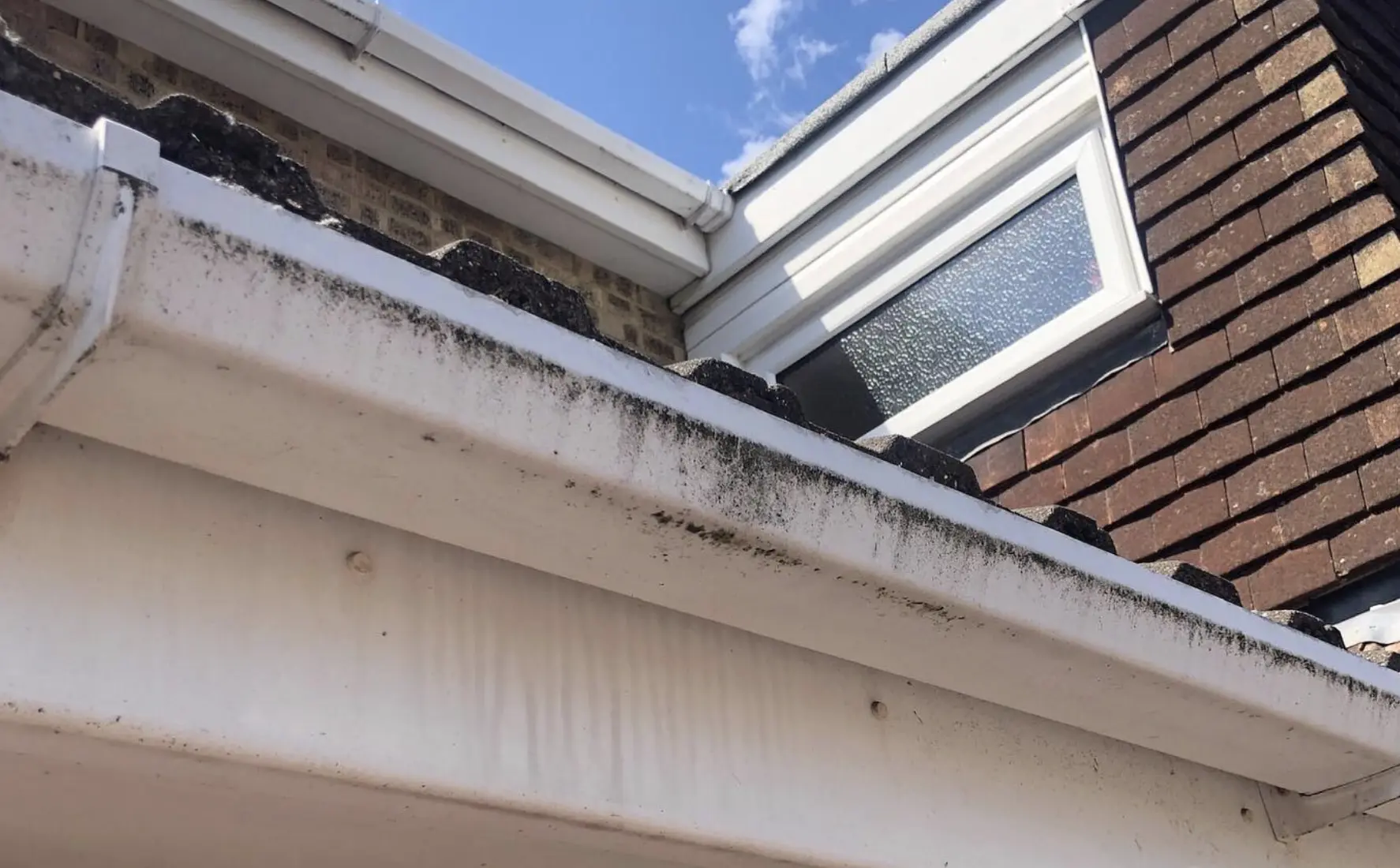 roofline and fascia cleaning tips