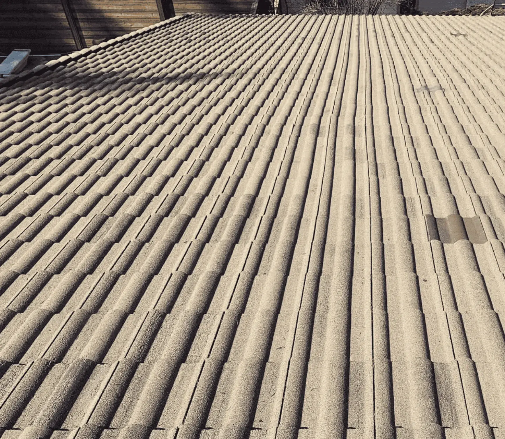 best roof cleaning tools