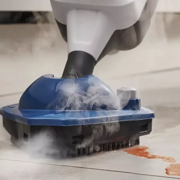 Steam cleaners