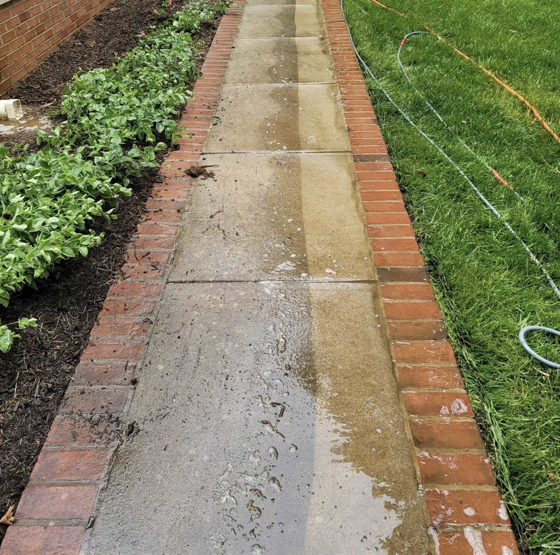 Wall-mounted and portable pressure washer
