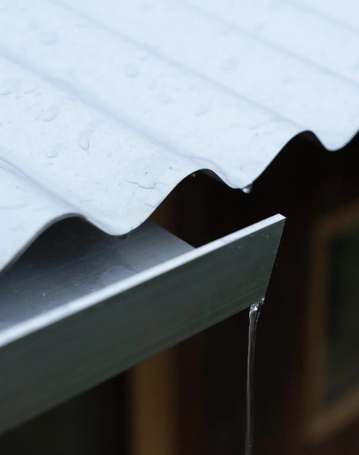 Well-maintained Colorbond roof drainage
