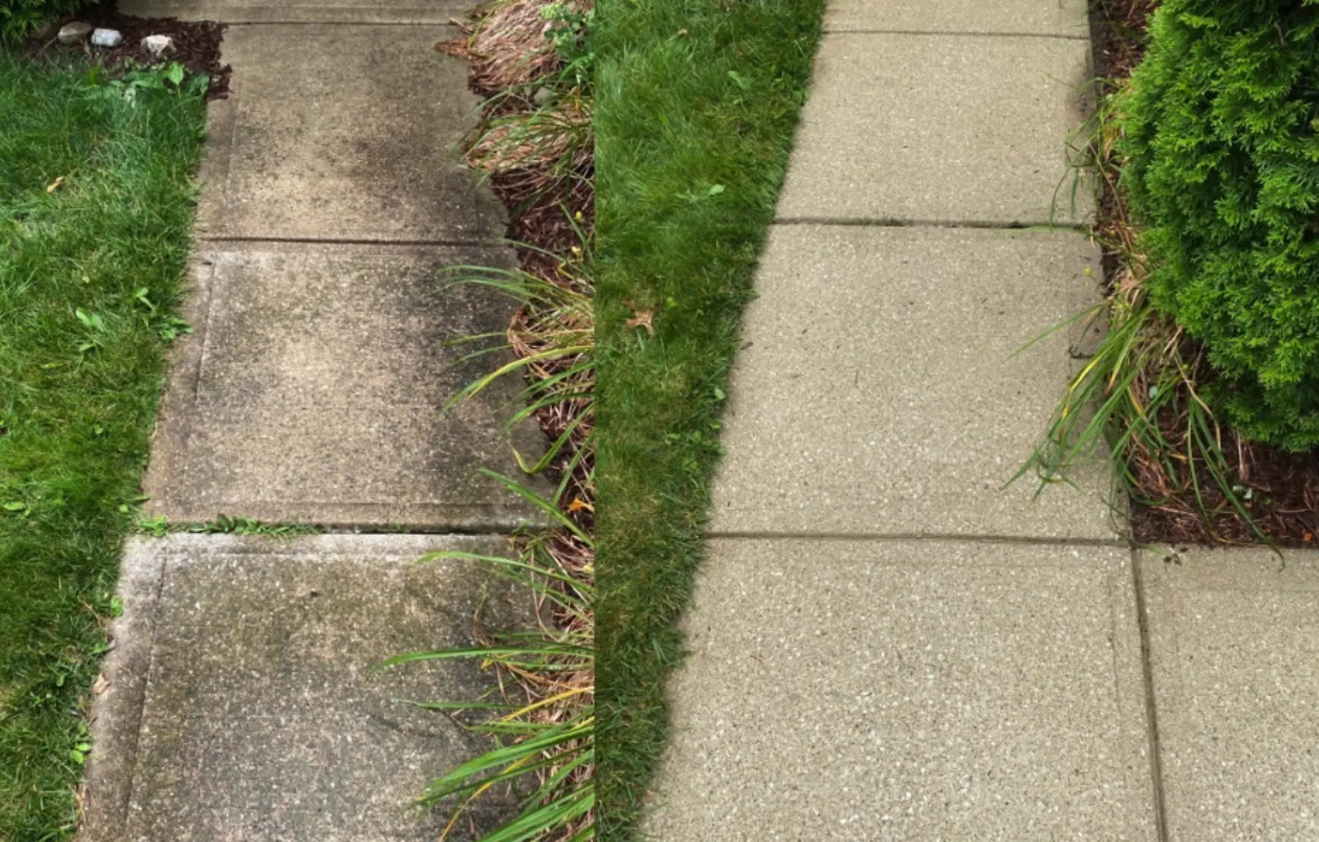Will a pressure washer remove algae from concrete?