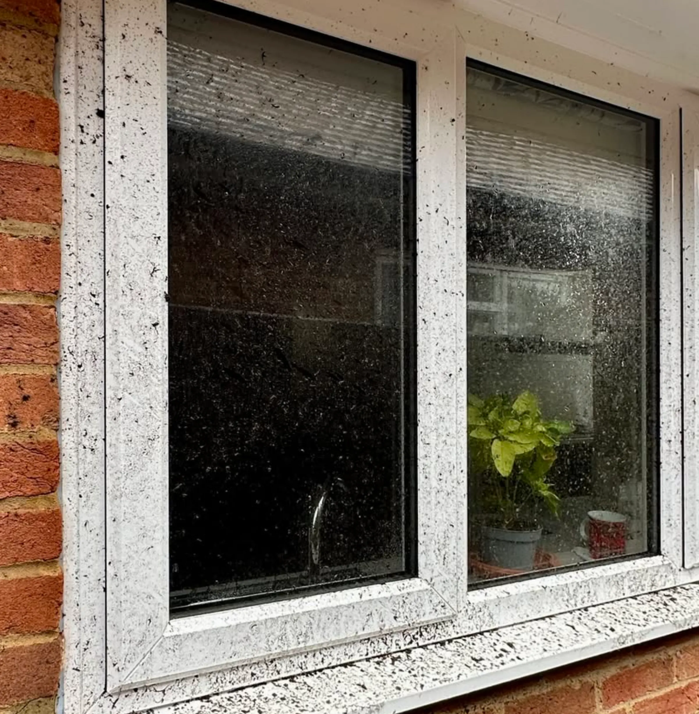 benefits of professional cleaning