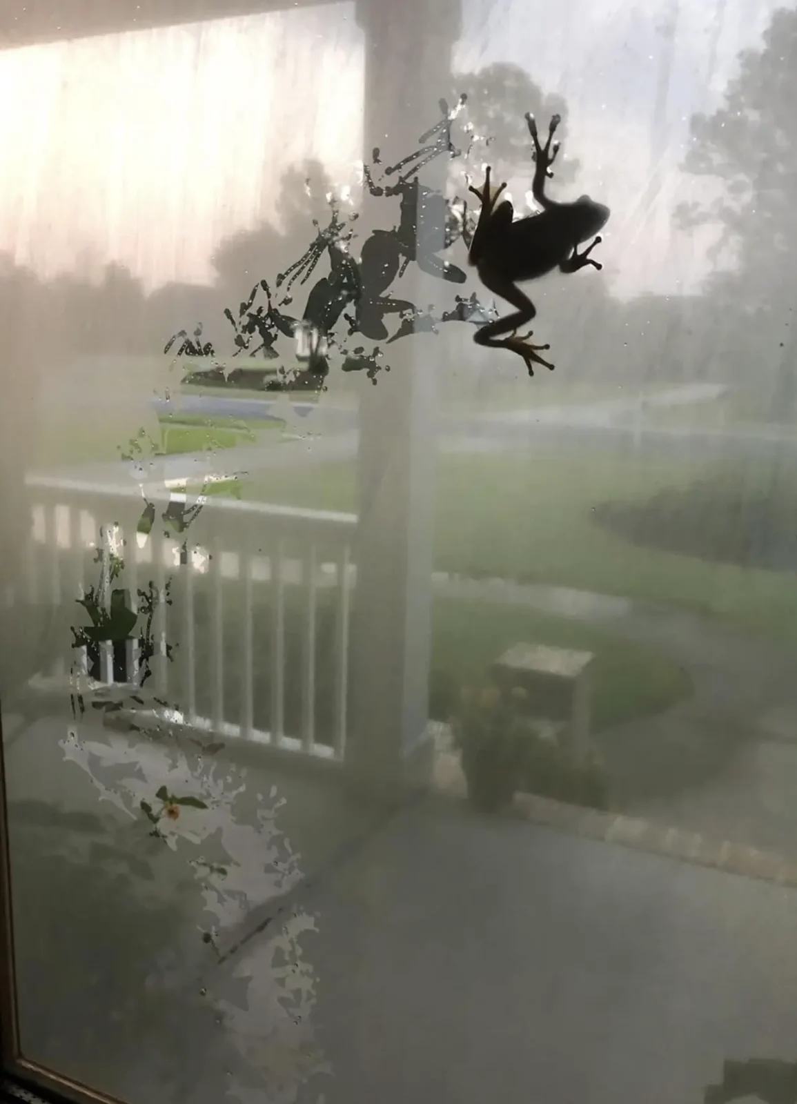 best cloth for cleaning foggy glass