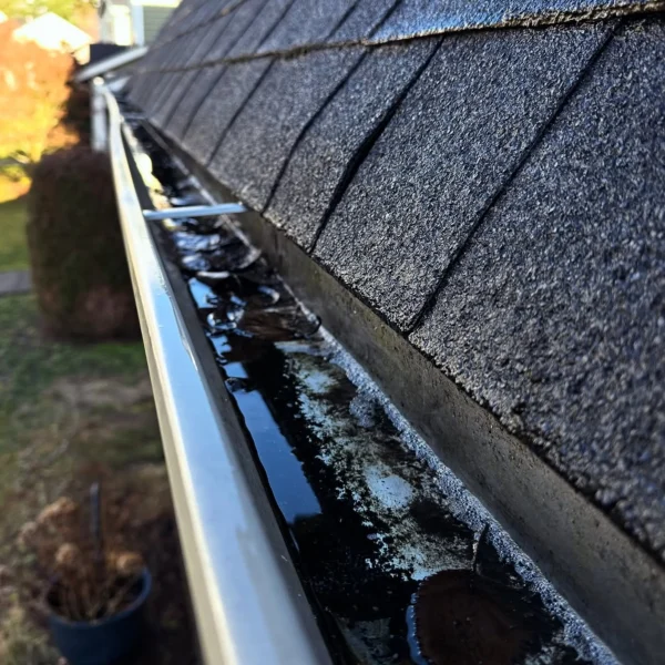 best way to clean gutters