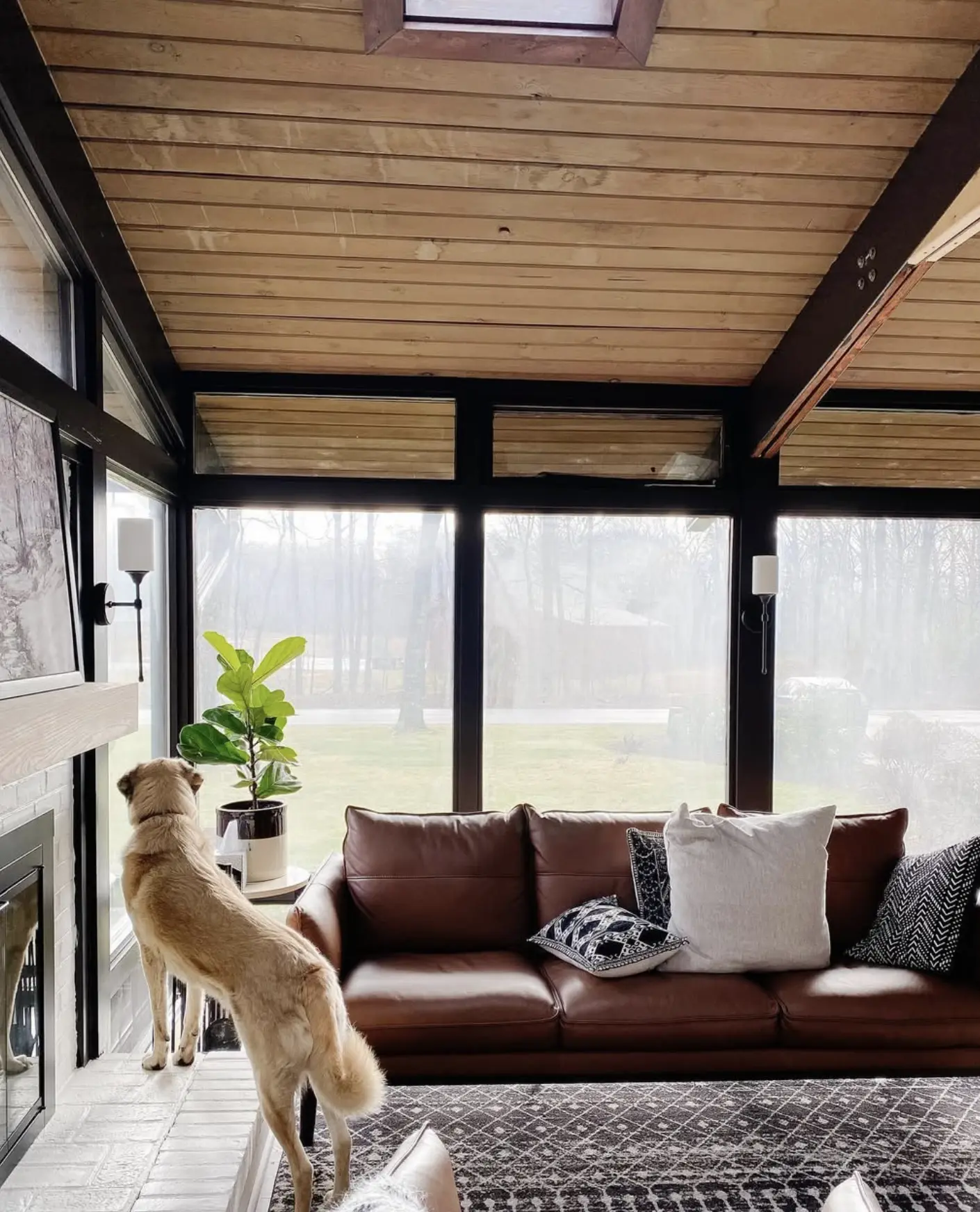 clean hard water stains from glass