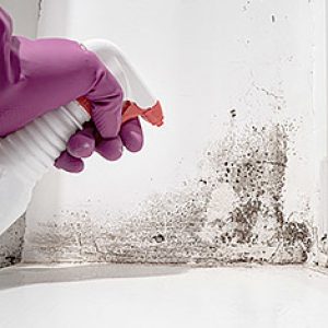 Dirt and Mould Removal