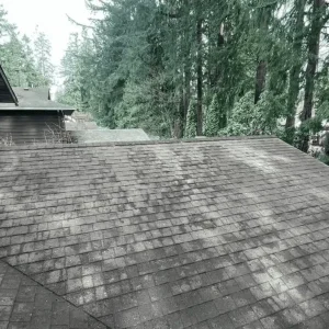 For-a-successful-roof-moss-removal.webp
