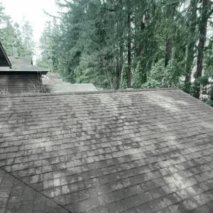 For a successful roof moss removal