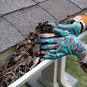 Gutter Clean