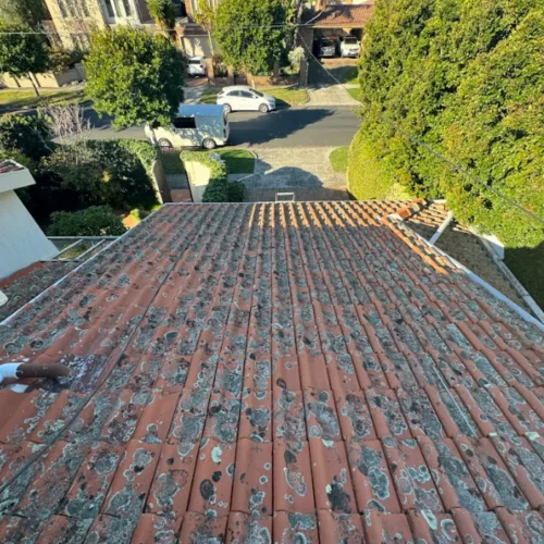 Professional-roof-wash.webp