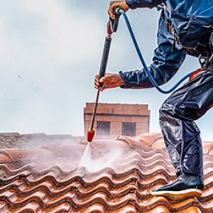 Roof Cleaning