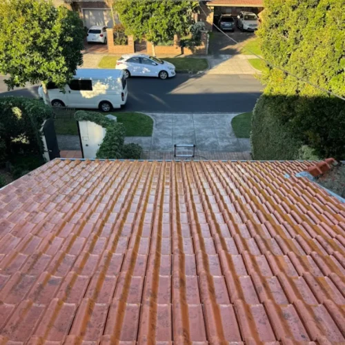 Roof painting