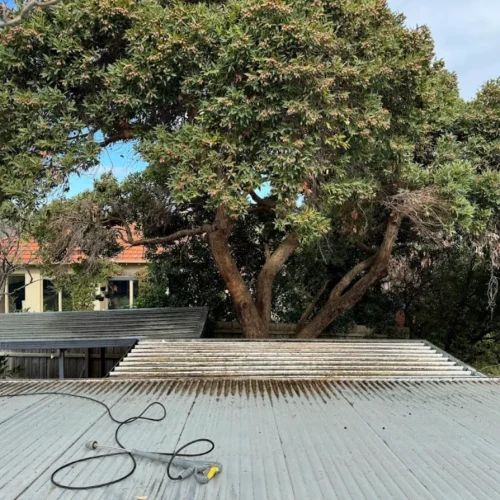 Roof wash