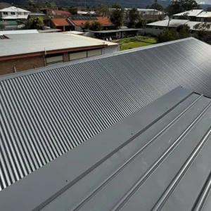cleaning mould off colorbond roof