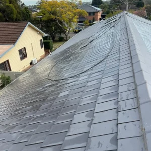 moss roof cleaner