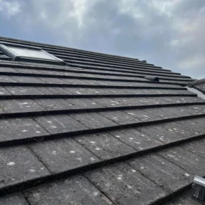 roof fungus removal