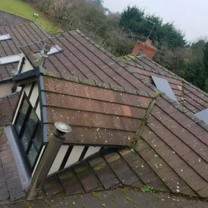 moss roof treatment