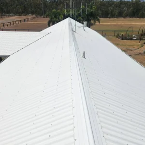 soft wash roof cleaning​ Melbourne