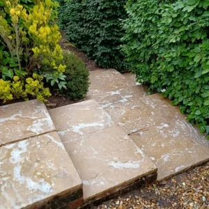 paving cleaners
