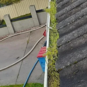 solar panel cleaner melbourne