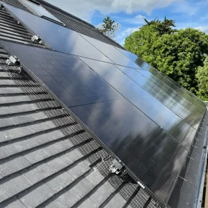 solar panel cleaning Alamein quote