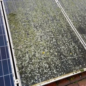 book solar cleaning Abbotsford
