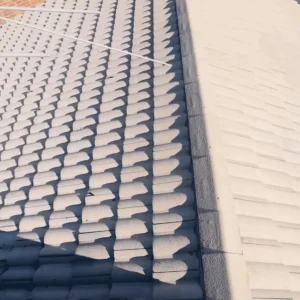 Soft Wash Roof Cleaning melburne