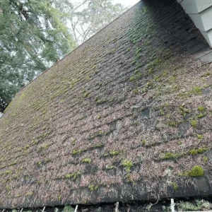 To-remove-moss-from-your-roof.webp