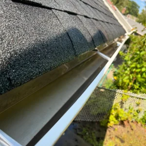 affordable vacuum gutter cleaning