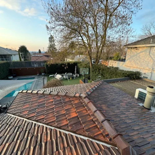 algae from roofs