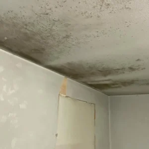 bathroom mould cleaning melbourne