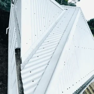 best-way-to-clean-colorbond-roof.webp