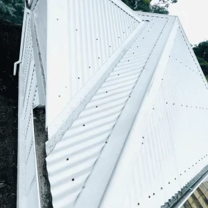 best way to clean colorbond roof
