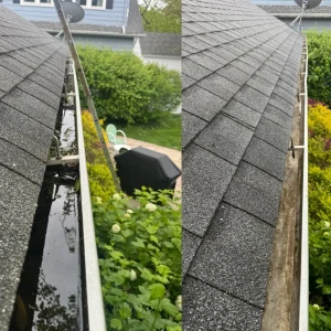 bird droppings solar panel cleaning