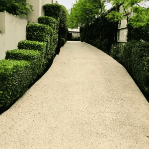 concrete cleaning services melbourne