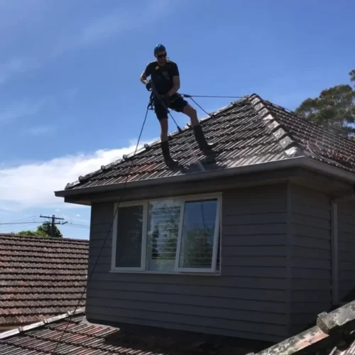 cost of roof cleaning