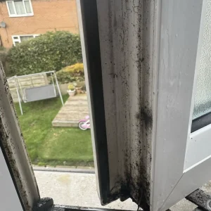 dirt cleaning
