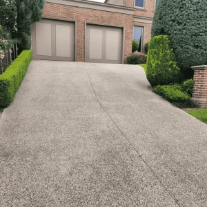 driveway cleaning service