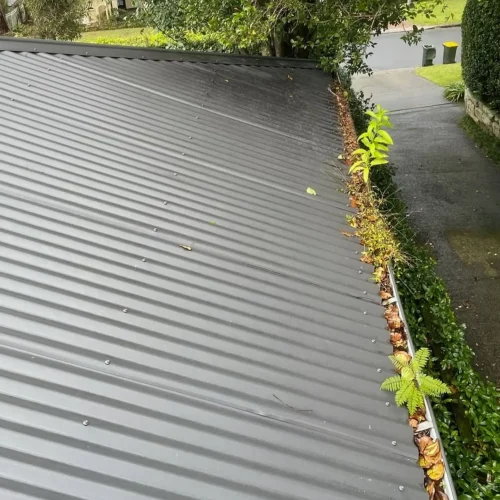 gutter cleaning in Melbourne