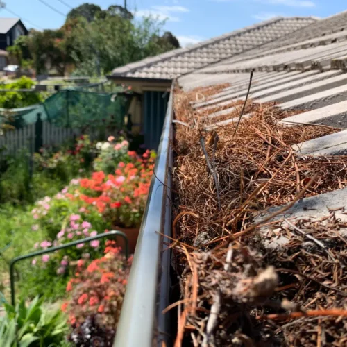 gutter cleaning service