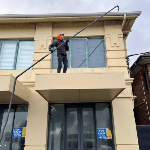 gutter roof cleaning