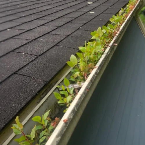 gutter vacuum melbourne