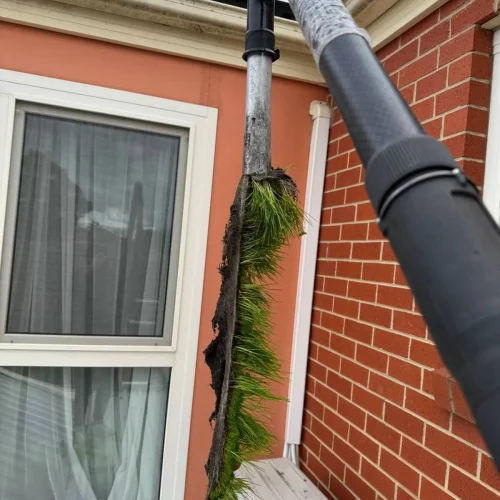 house gutter cleaning