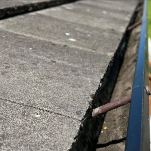 how to clean moss from roof