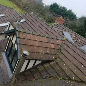 moss-roof-treatment.webp
