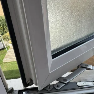 mould cleaning